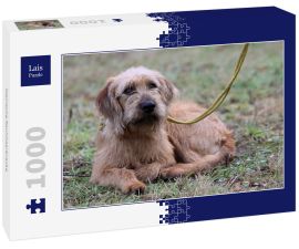 Lais Puzzle - Steirische Rauhhaarbracke - 1.000 Teile