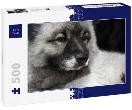 Lais Puzzle - Wolfsspitz - 500 Teile