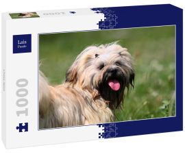 Lais Puzzle - Lhasa Apso - 1.000 Teile