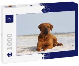 Lais Puzzle - Tosa - 1.000 Teile