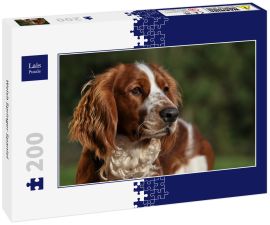 Lais Puzzle - Welsh Springer Spaniel - 200 Teile