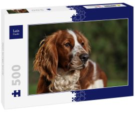 Lais Puzzle - Welsh Springer Spaniel - 500 Teile