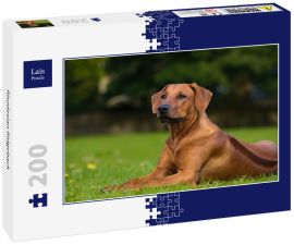 Lais Puzzle - Rhodesian Ridgeback - 200 Teile
