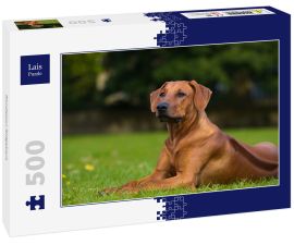 Lais Puzzle - Rhodesian Ridgeback - 500 Teile