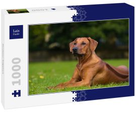 Lais Puzzle - Rhodesian Ridgeback - 1.000 Teile