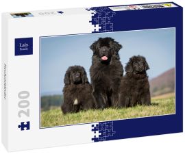 Lais Puzzle - Neufundländer - 200 Teile