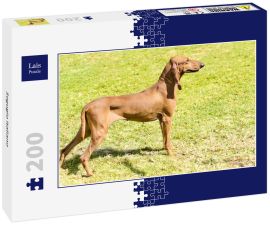 Lais Puzzle - Segugio Italiano - 200 Teile