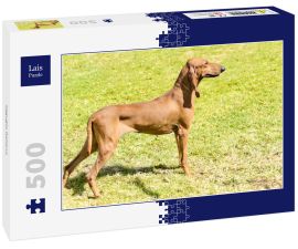 Lais Puzzle - Segugio Italiano - 500 Teile