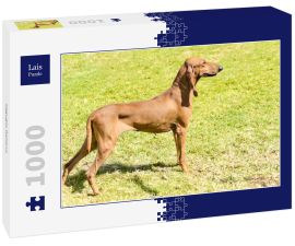 Lais Puzzle - Segugio Italiano - 1.000 Teile