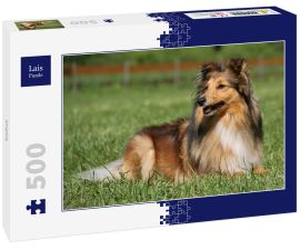 Lais Puzzle - Sheltie - 500 Teile