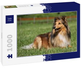 Lais Puzzle - Sheltie - 1.000 Teile