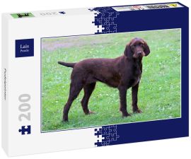 Lais Puzzle - Pudelpointer - 200 Teile
