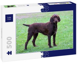Lais Puzzle - Pudelpointer - 500 Teile