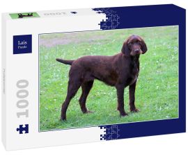 Lais Puzzle - Pudelpointer - 1.000 Teile