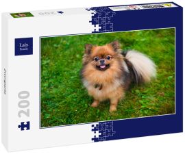 Lais Puzzle - Zwergspitz - 200 Teile