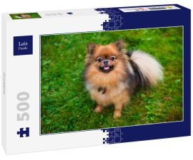 Lais Puzzle - Zwergspitz - 500 Teile