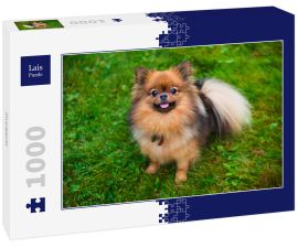 Lais Puzzle - Zwergspitz - 1.000 Teile