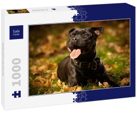 Lais Puzzle - Staffordshire Bullterrier - 1.000 Teile