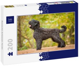 Lais Puzzle - Russischer Schwarzer Terrier - 200 Teile