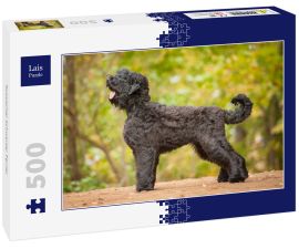 Lais Puzzle - Russischer Schwarzer Terrier - 500 Teile