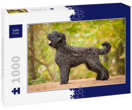 Lais Puzzle - Russischer Schwarzer Terrier - 1.000 Teile