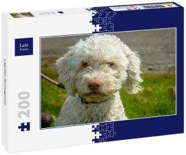 Lais Puzzle - Lagotto Romagnolo - 200 Teile