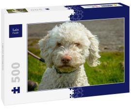 Lais Puzzle - Lagotto Romagnolo - 500 Teile