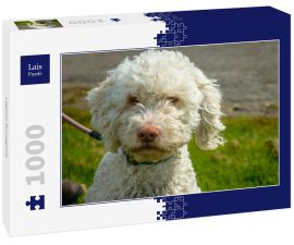 Lais Puzzle - Lagotto Romagnolo - 1.000 Teile