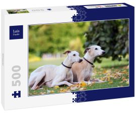Lais Puzzle - Whippet - 500 Teile