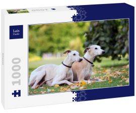 Lais Puzzle - Whippet - 1.000 Teile
