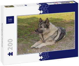 Lais Puzzle - Norwegischer Elchhund - 200 Teile