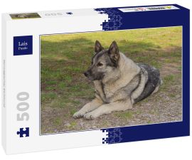 Lais Puzzle - Norwegischer Elchhund - 500 Teile