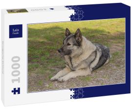 Lais Puzzle - Norwegischer Elchhund - 1.000 Teile