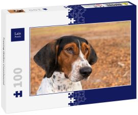 Lais Puzzle - Treeing Walker Coonhound - 100 Teile