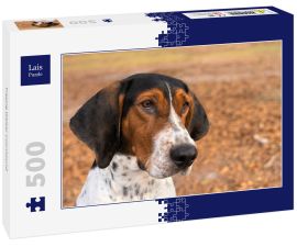 Lais Puzzle - Treeing Walker Coonhound - 500 Teile