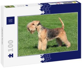 Lais Puzzle - Lakeland Terrier - 100 Teile