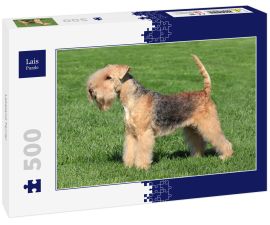 Lais Puzzle - Lakeland Terrier - 500 Teile