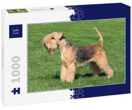 Lais Puzzle - Lakeland Terrier - 1.000 Teile