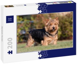 Lais Puzzle - Norwich Terrier - 200 Teile