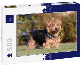 Lais Puzzle - Norwich Terrier - 500 Teile