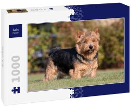 Lais Puzzle - Norwich Terrier - 1.000 Teile