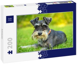 Lais Puzzle - Schnauzer - 200 Teile