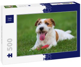 Lais Puzzle - Parson Russell Terrier - 500 Teile