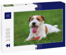 Lais Puzzle - Parson Russell Terrier - 1.000 Teile