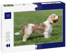 Lais Puzzle - Petit Basset Griffon Vendeen - 500 Teile