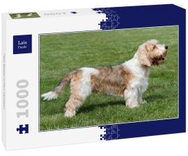 Lais Puzzle - Petit Basset Griffon Vendeen - 1.000 Teile