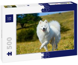 Lais Puzzle - Samojede - 500 Teile