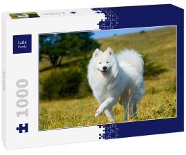 Lais Puzzle - Samojede - 1.000 Teile