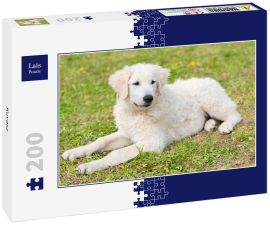 Lais Puzzle - Kuvasz - 200 Teile