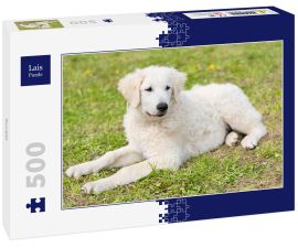 Lais Puzzle - Kuvasz - 500 Teile